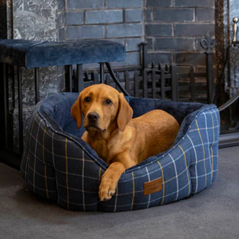 House Of Paws Check Tweed Oval Snuggle Bed - Navy-2