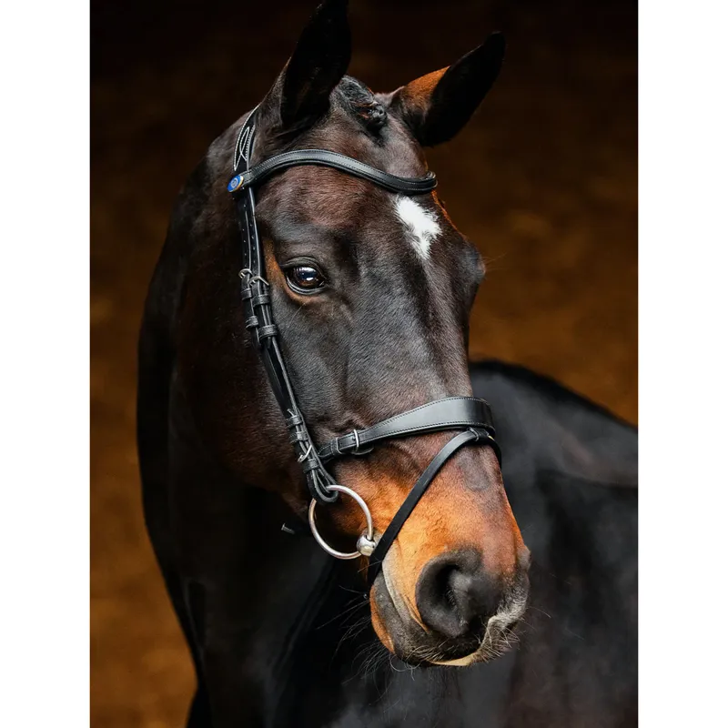 PS Of Sweden HvE Bridle - Black
