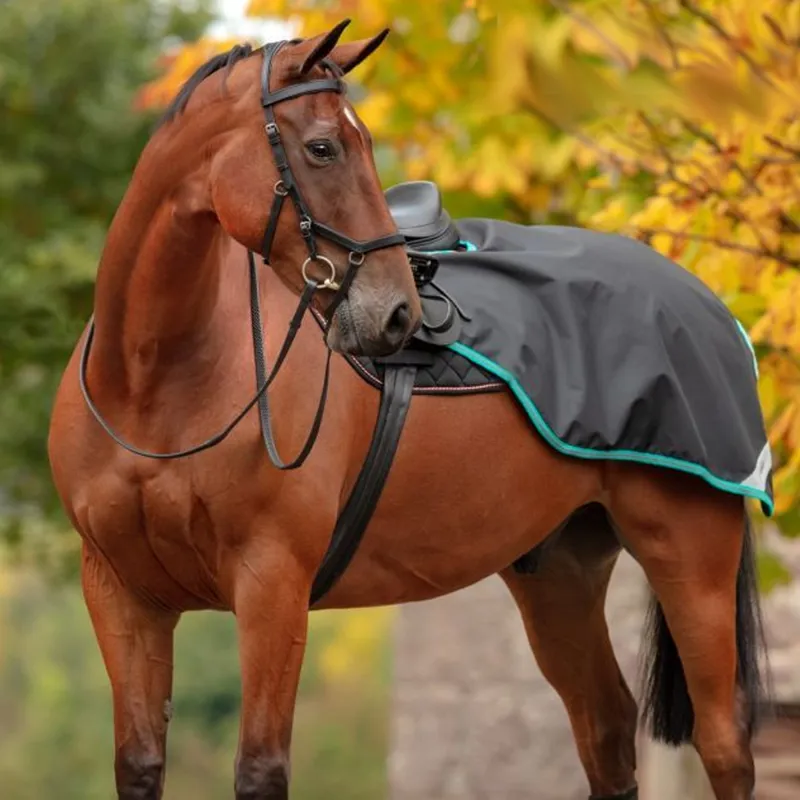 Horseware Amigo Competition Exercise Sheet - Black/Teal/Dark Cherry