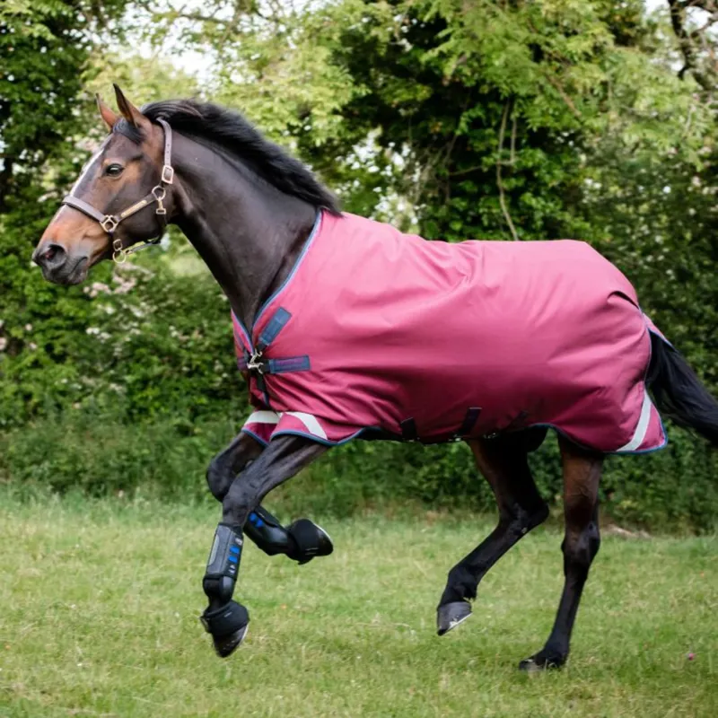 Horseware Rambo Original Lite 0g Turnout Rug With Leg Arches - Burgundy/Burgundy/Teal/Navy