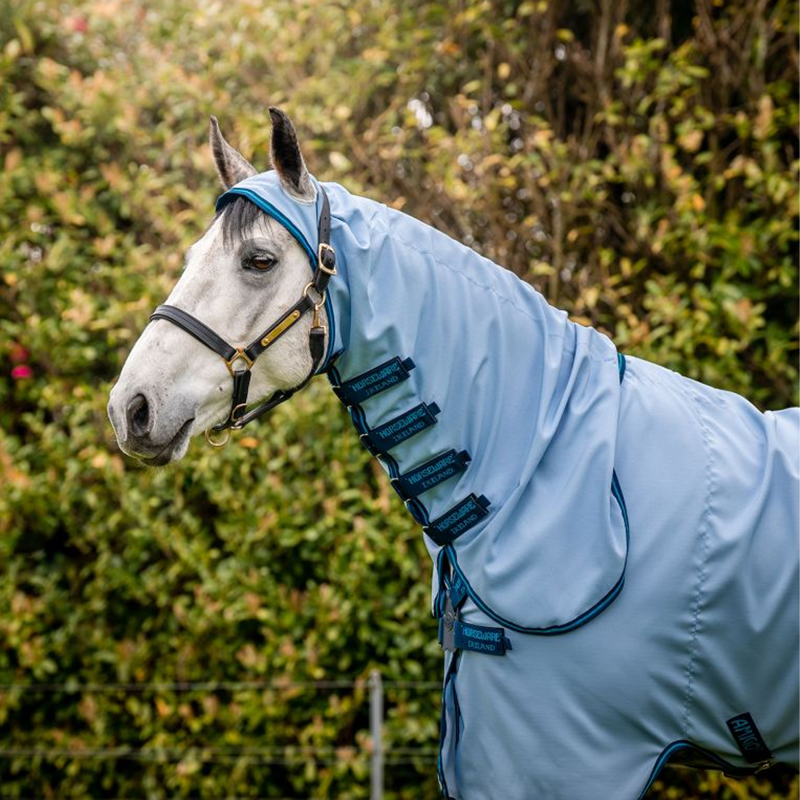 Horseware Amigo Ripstop Hoody - Azure Blue/Navy/Electric Blue-3