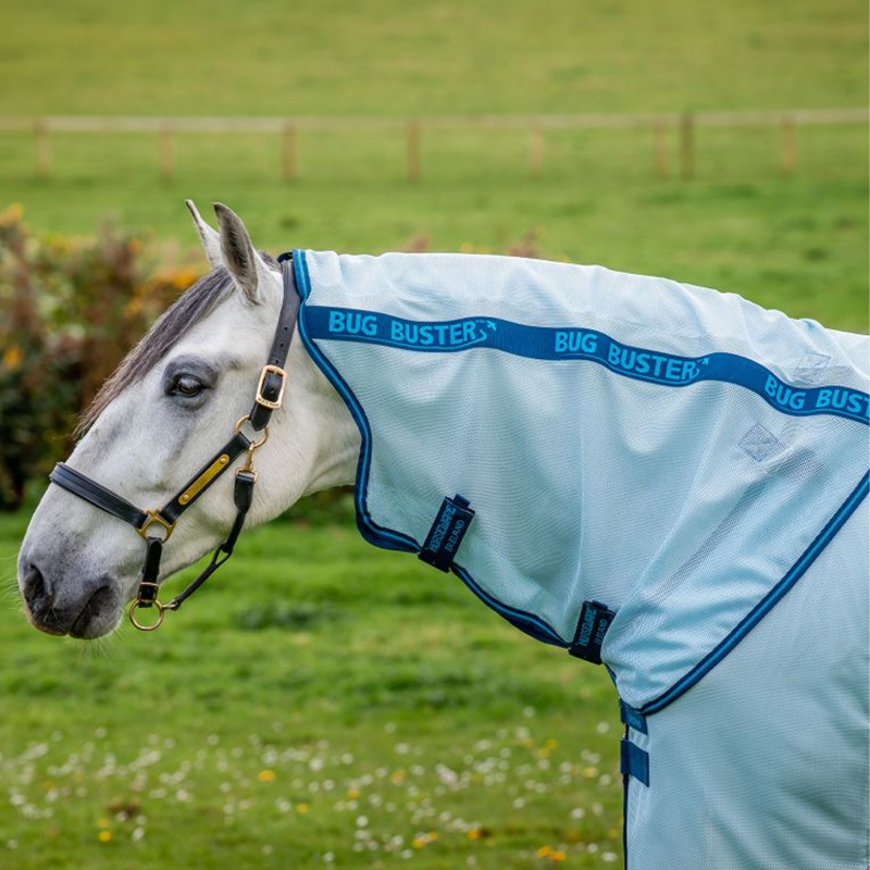 Horseware Amigo Bug Buster Fly Sheet - Azure Blue/Navy/Electric Blue-4