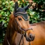 Horseware Signature Ear Net - Black