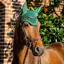 Horseware Signature Ear Net - Hunter Green