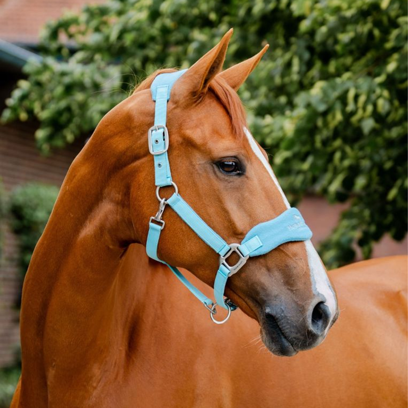 Horseware Signature Grooming Headcollar - Blue Haze -1