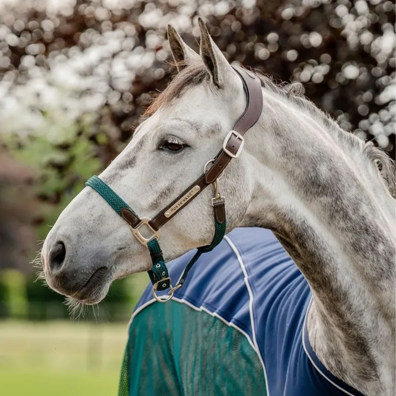 Horseware Signature Braided Headcollar - Brown/Navy/Hunter Green
