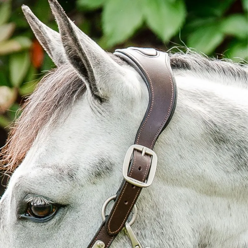 Horseware Signature Braided Headcollar - Brown/Navy/Blue Haze-2