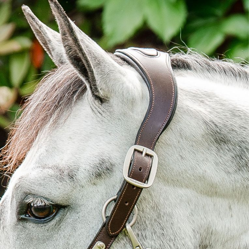 Horseware Signature Braided Headcollar - Brown/Navy/Hunter Green-2