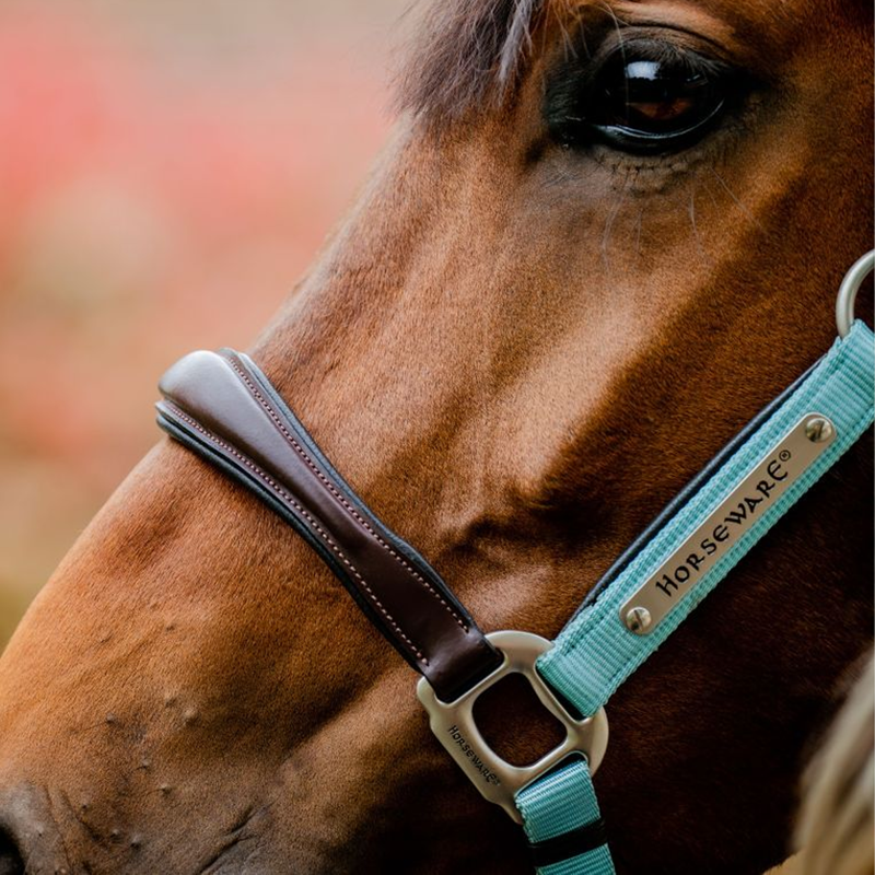 Horseware Signature Competition Headcollar - Brown/Blue Haze-1