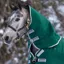 Horseware Rambo Original Lite 0g Turnout Hood - Green/Silver