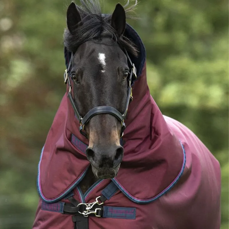 Horseware Rambo Original Lite 0g Turnout Hood - Burgundy/Burgundy/Teal/Navy