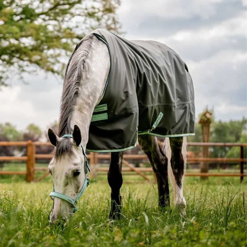 Horseware Amigo Hero Ripstop 50g Turnout Rug - Shadow/Blue Haze/Navy-2