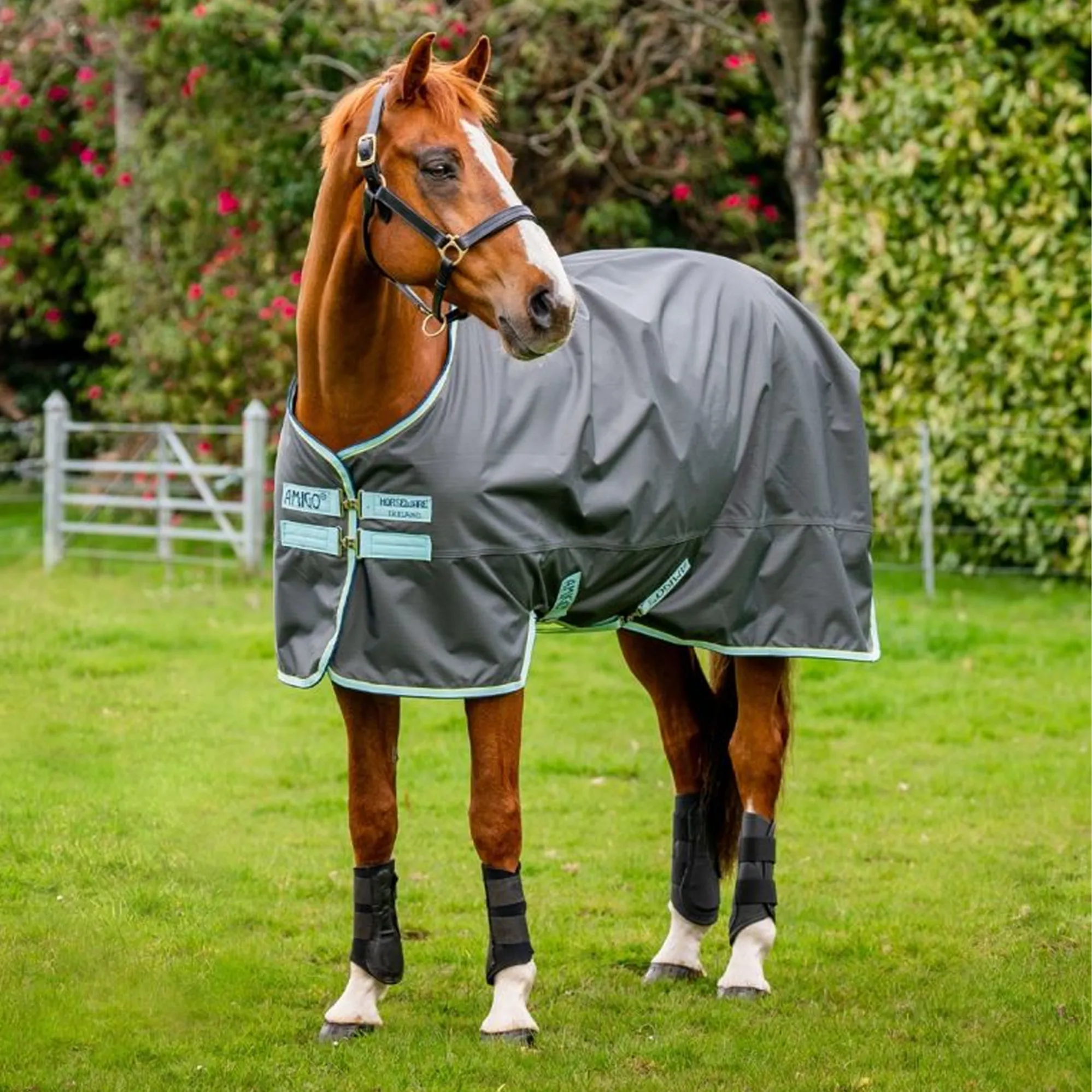 Horseware Rug Washing Horseware Amigo Hero Ripstop 50g Turnout Rug - Shadow/Blue Haze
