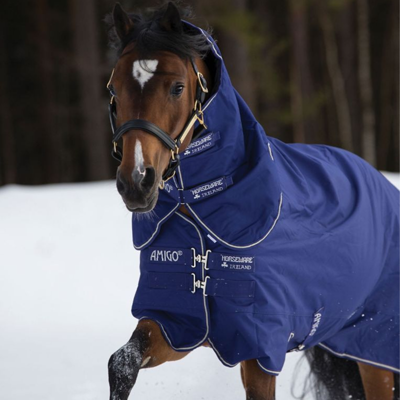 Horseware Amigo Hero 900 Plus Turnout Rug 200g - Atlantic Blue/AB Ivory-2