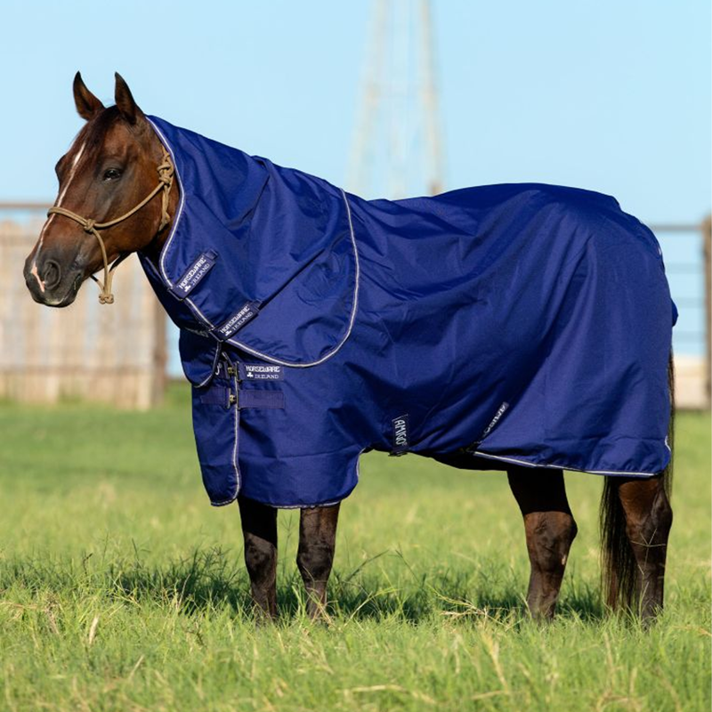 Horseware Amigo Hero 900 Plus Turnout Rug 200g - Atlantic Blue/AB Ivory-1