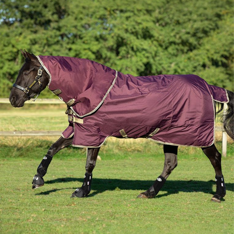 Horseware Amigo Hero Ripstop Plus Turnout Rug 0g - Fig/Navy/Tan-1