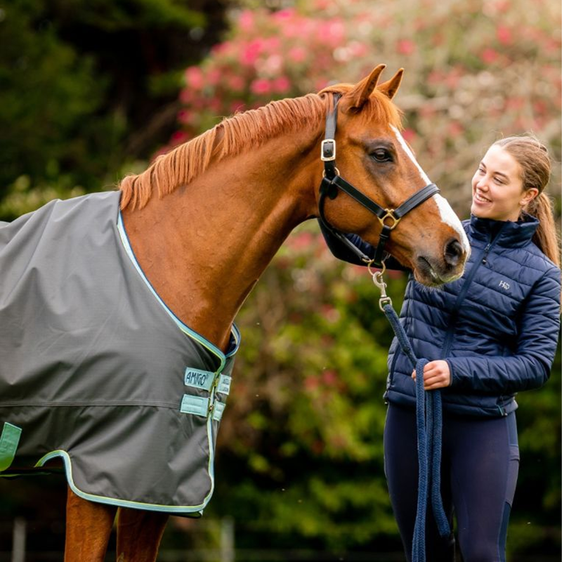 Horseware Amigo Hero Ripstop 50g With Fleece Lining - Shadow/Blue Haze/Navy-6