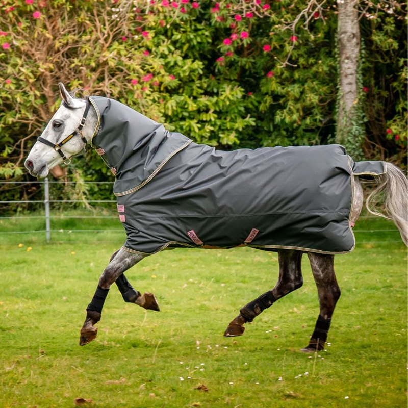 Horseware Amigo Hero Ripstop Plus Turnout Rug 0g - Shadow/Rose/Navy-1