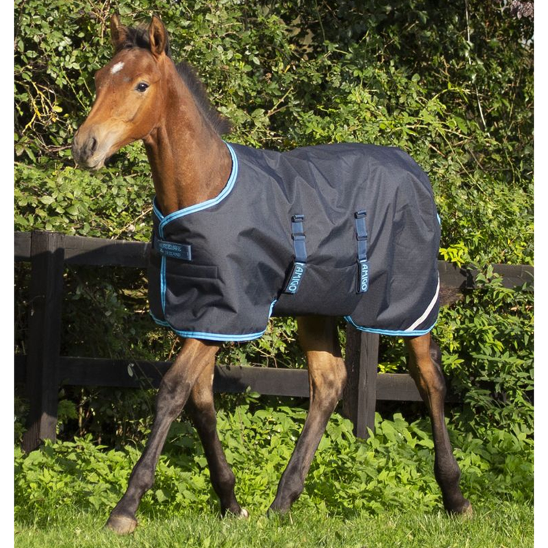 Horseware Amigo Foal Rug 200g Ripstop Turnout Rug - Navy/Electric Blue/Navy-1