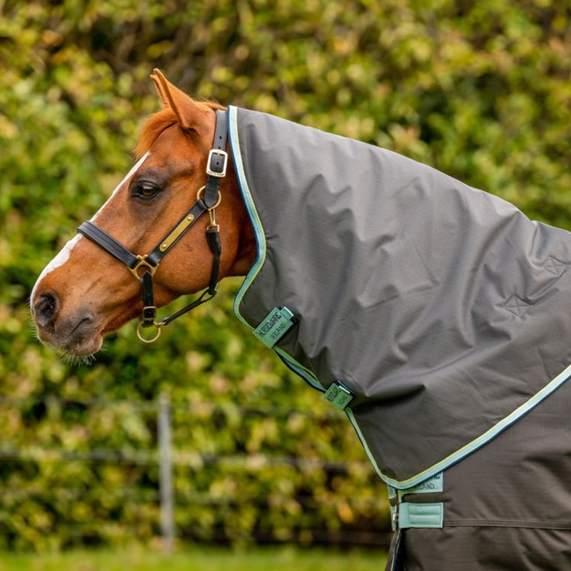Horseware Amigo Hero Ripstop Plus Medium Turnout - Shadow/Blue Haze/Navy-3