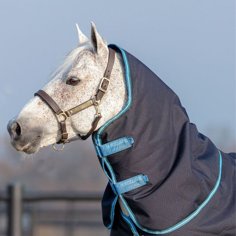 Horseware Amigo Bravo 12 Plus Turnout Rug Bundle - Navy/Turquoise/Aqua/Blue-5