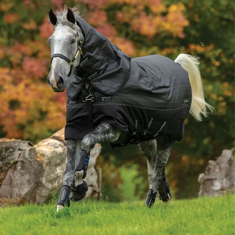 Horseware Amigo Bravo 12 Reflectech Plus 250g Turnout Rug - Black/Reflective/Black