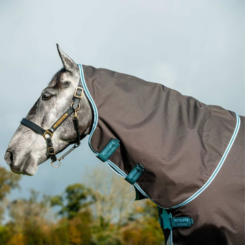 Horseware Amigo Bravo 12 Plus Disc Front 250g Turnout Rug - Excalibur/Aqua/Turquoise-1