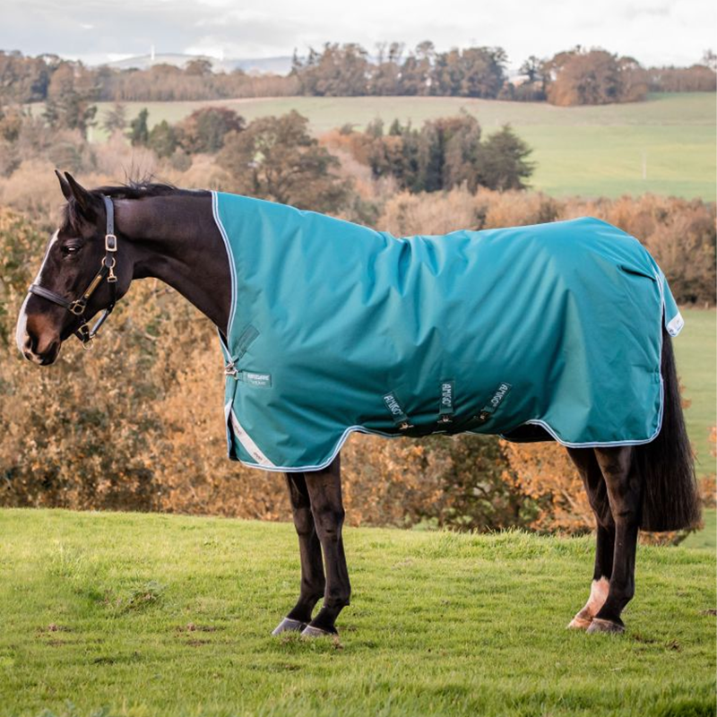 Horseware Amigo Bravo 12 Wug 250g Turnout Rug - Storm Green/Turquoise/Aqua-1