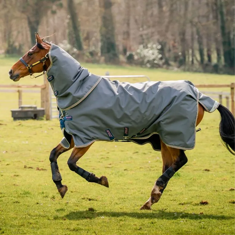 Horseware Amigo Bravo 12 Plus Bundle Turnout - Dark Shadow/Navy/Rose