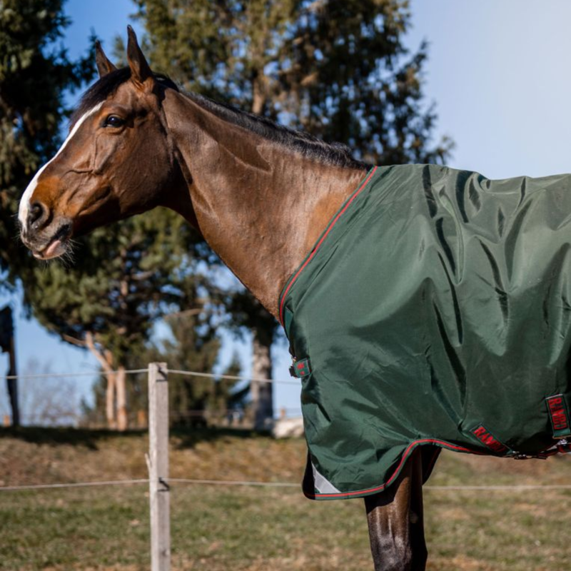 Horseware Rambo Original 100g Turnout Rug With Leg Arches - Green/Red-3