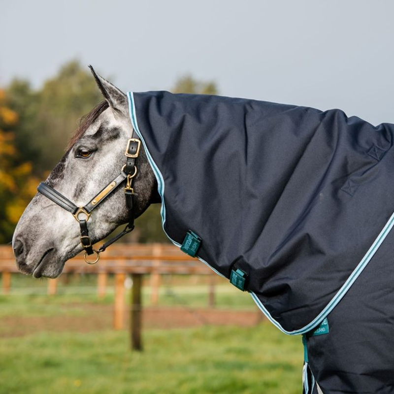 Horseware Amigo Bravo 12 Plus Turnout Medium - Navy/Aqua/Turquoise-1