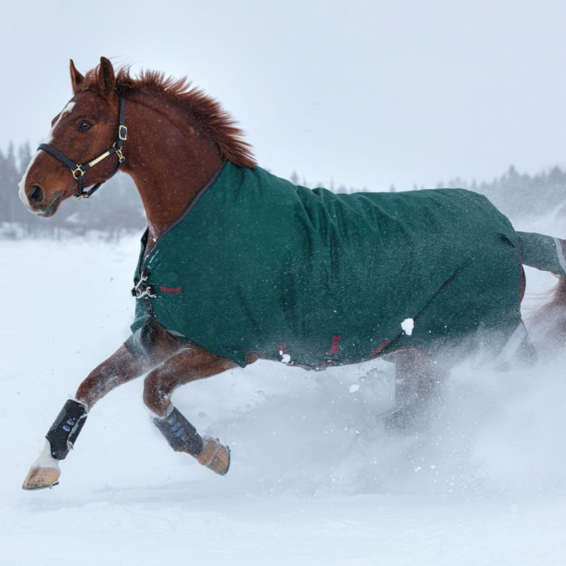 Horseware Rambo Original 100g Turnout Rug With Leg Arches - Green/Red-2