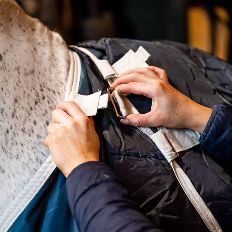 Horseware AmECO 100g Liner - Teal Eco Print/Grey-6