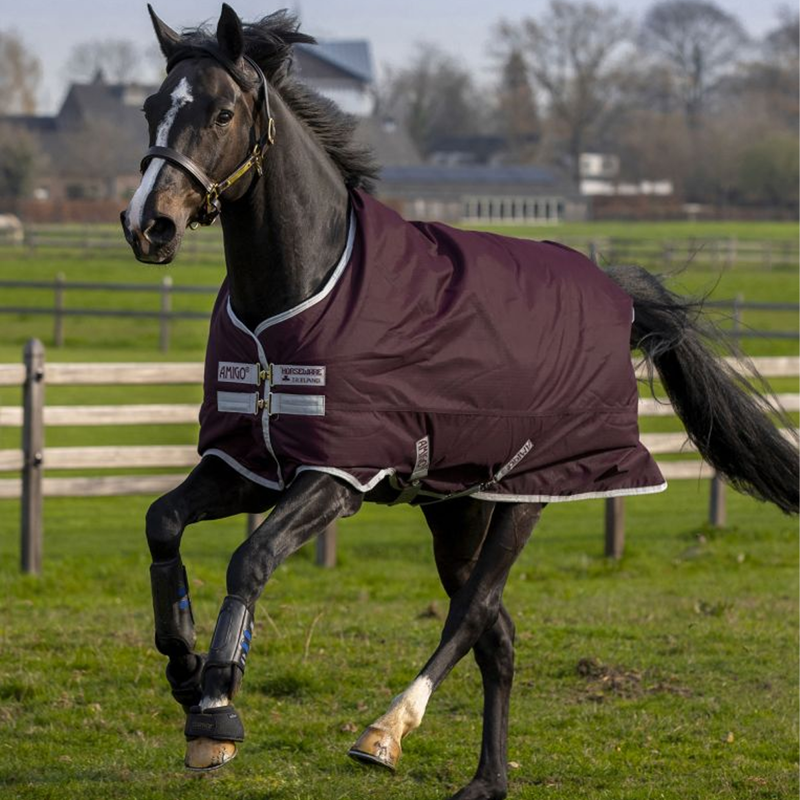 Horseware Amigo Hero Ripstop 50g Turnout Rug - Fig/Silver -1