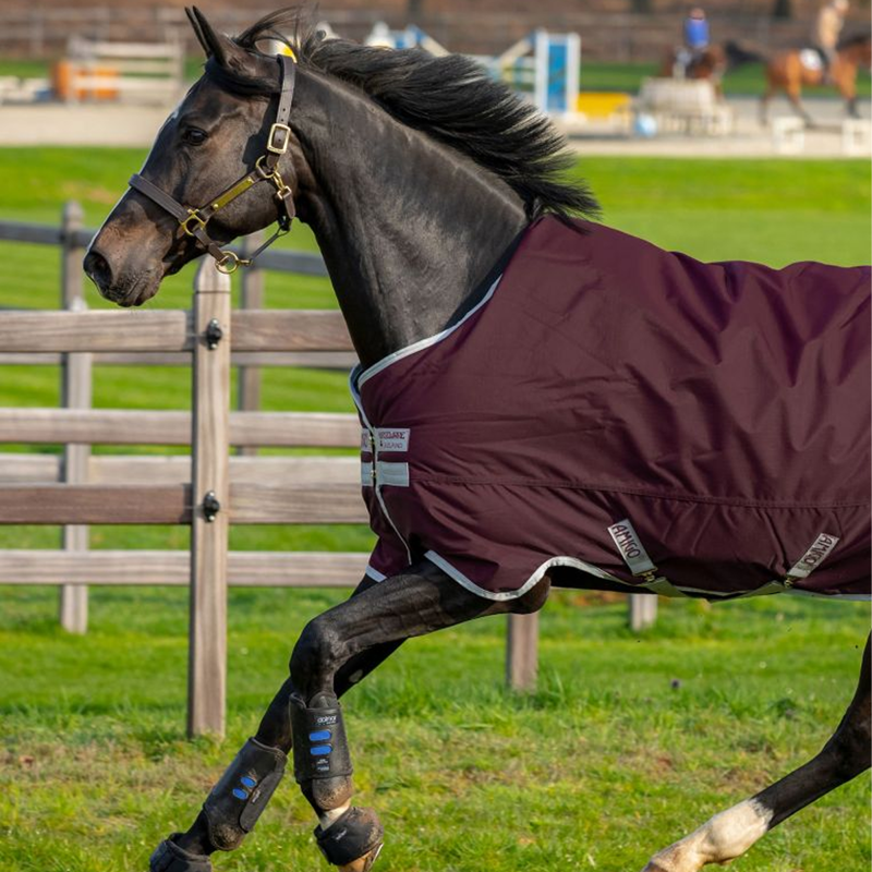 Horseware Amigo Hero Ripstop 50g Turnout Rug - Fig/Silver -2