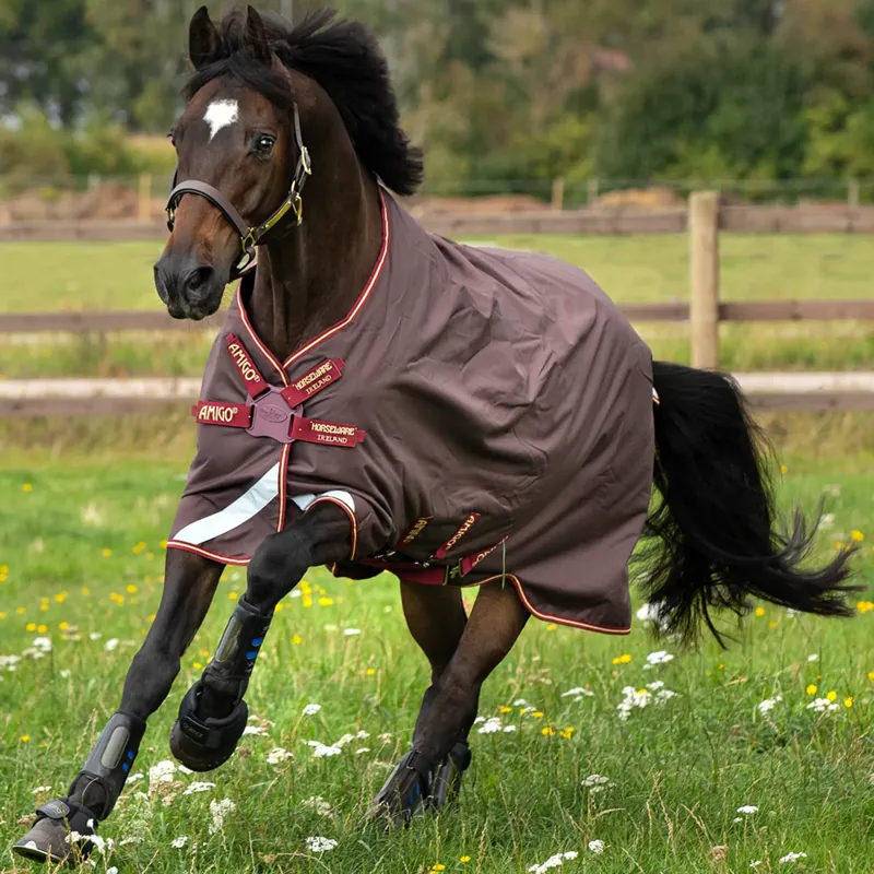 Horseware Amigo Bravo 12 Original 0g Turnout Rug Disc Front - Brown/Red/Gold/Red 