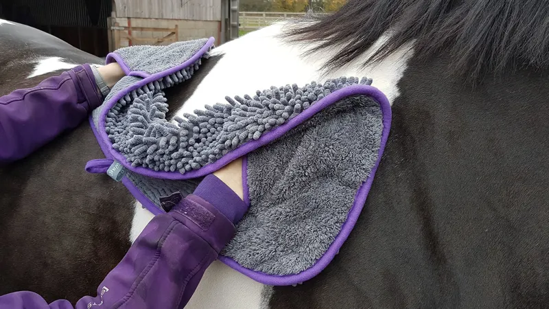 Henry Wag Small Equine Microfibre Glove Towel - Plum/Grey-1