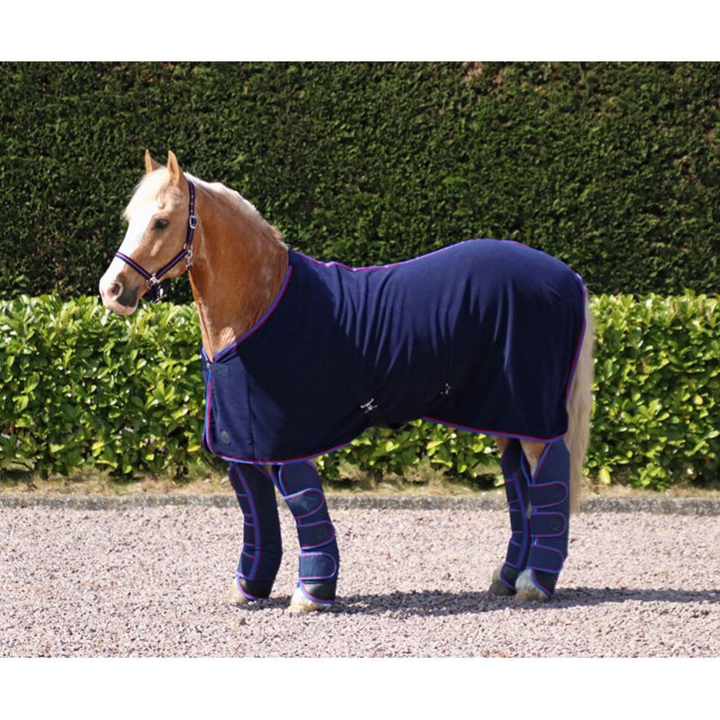 Hy Signature Fleece Rug - Navy/Red/Blue 