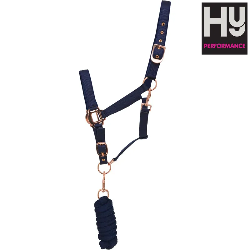 Hy Rose Gold Headcollar and Lead Rope - Navy/Rose Gold