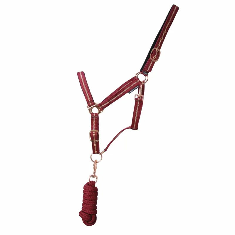 Hy Equestrian Rose Glitter Headcollar And Leadrope Set - Burgundy