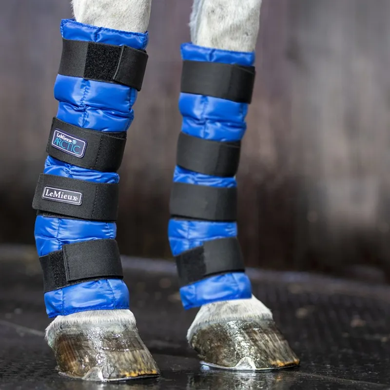 LeMieux Arctic Ice Boots - Blue