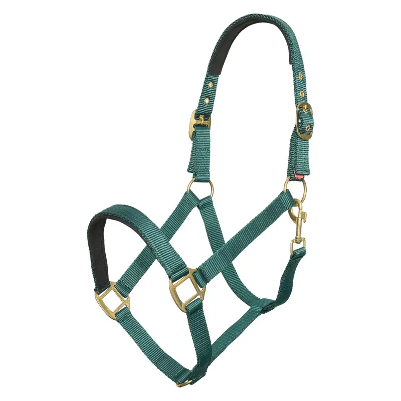 Imperial Riding Classic Sport Headcollar - Forest Green