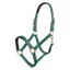 Imperial Riding Classic Sport Headcollar - Forest Green