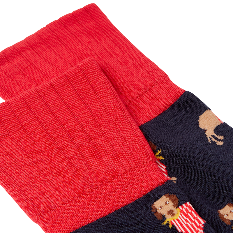 Joules Nina Trussel Socks - Navy Terrier-2