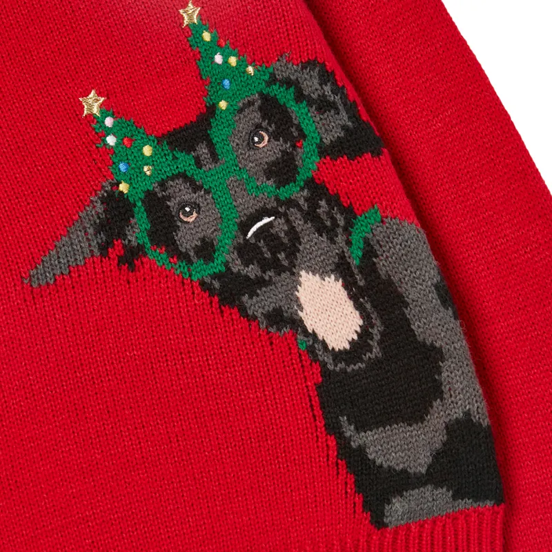 Joules Cracking Festive Family Jumper - Festive Dog-1