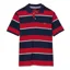 Joules Filbert Polo Shirt - Navy Red Stripe