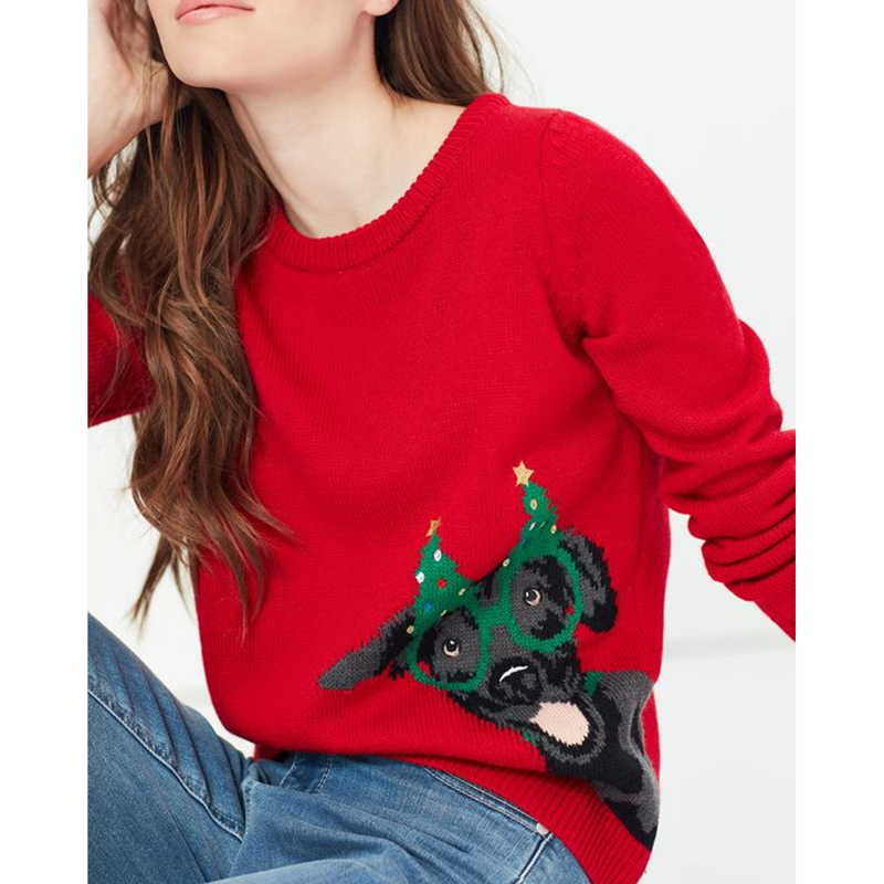 Joules The Cracking Festive Intarsia Jumper - Festive Dog-2