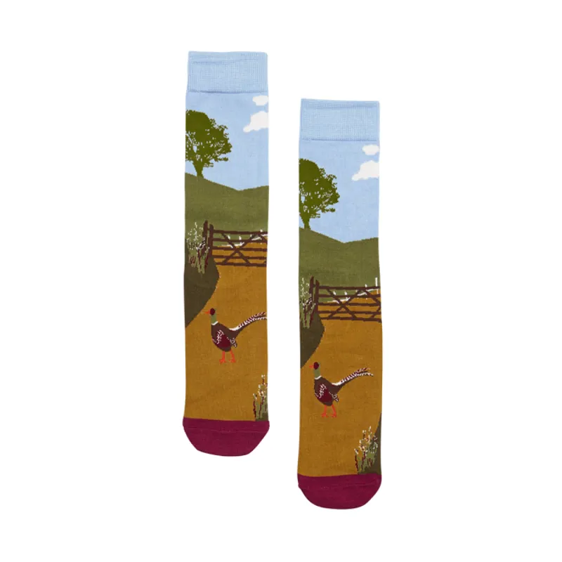 Joules Brilliant Bamboo Ladies Socks - Blue Location