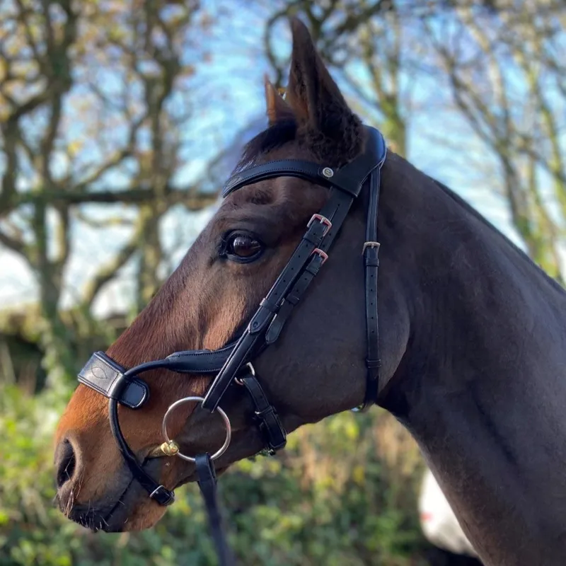 Ecorider Freedom Jump Bridle - Brown