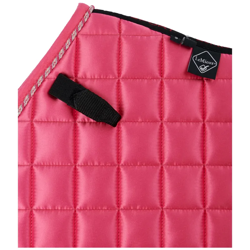 LeMieux Junior Loire Jump Square - Watermelon-1